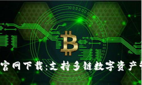  TP钱包电脑版官网下载：支持多链数字资产管理的优秀选择