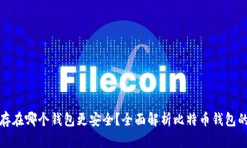 比特币存在哪个钱包更安全？全面解析比特币钱包的安全性