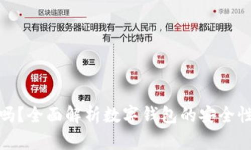 TP钱包安全吗？全面解析数字钱包的安全性与防护措施