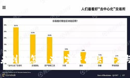 提币到TP钱包未到账怎么办？完整解决方案与常见问题解析