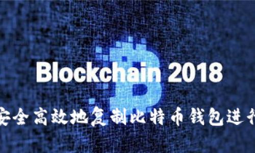 如何安全高效地复制比特币钱包进行支付
