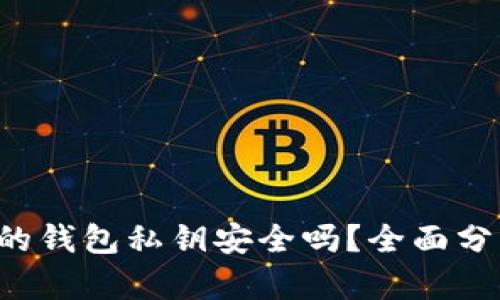  TP钱包生成的钱包私钥安全吗？全面分析与用户指南