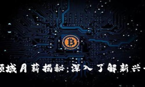 2023年Web3领域月薪揭秘：深入了解新兴行业的薪酬体系