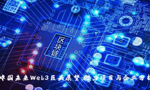 中国未来Web3巨头展望：潜力项目与企业分析