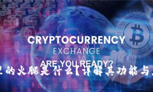 TP里的火腿是什么？详解其功能与应用